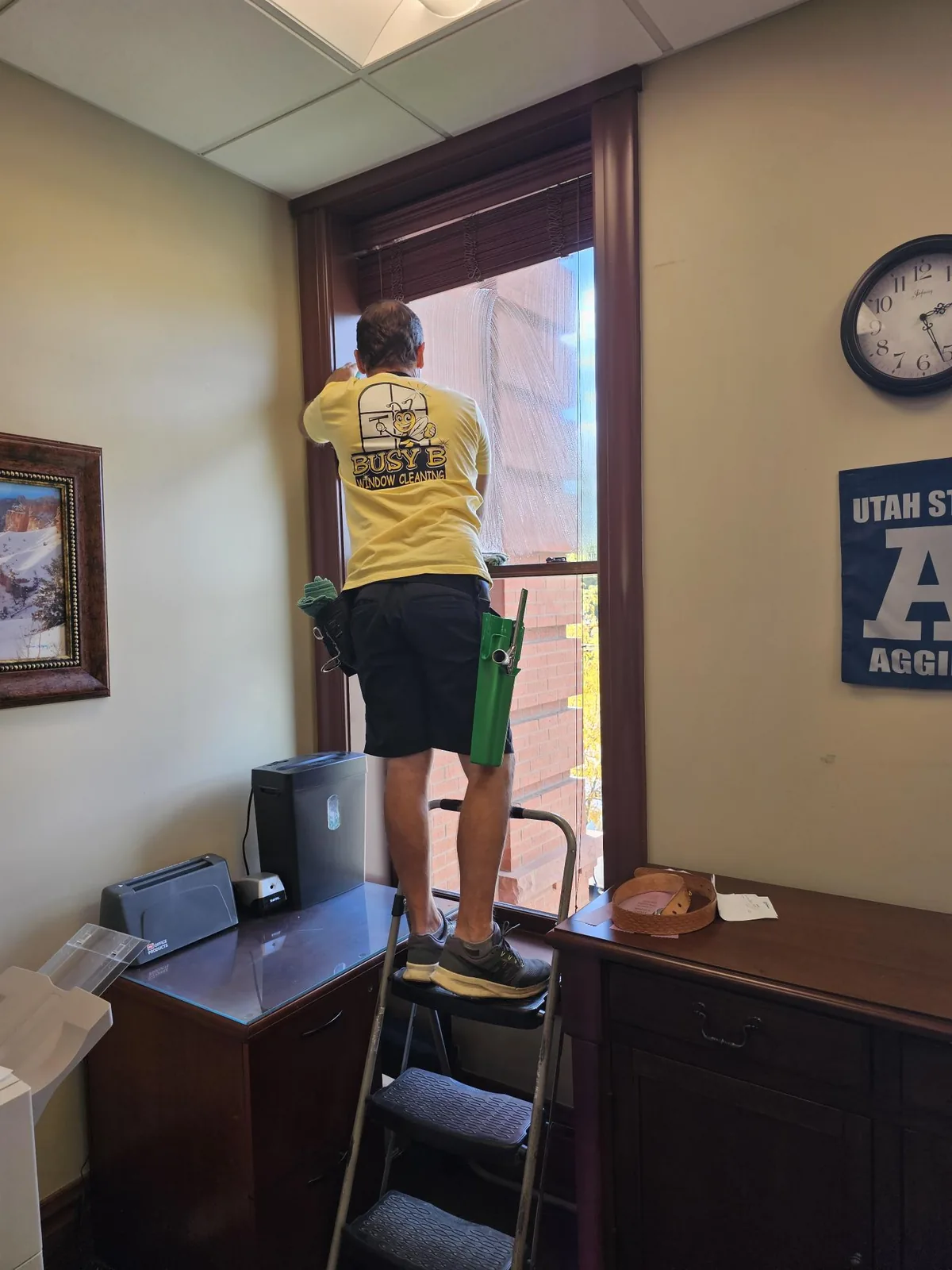 Busy B window cleaner on a step ladder cleaning a tall office window